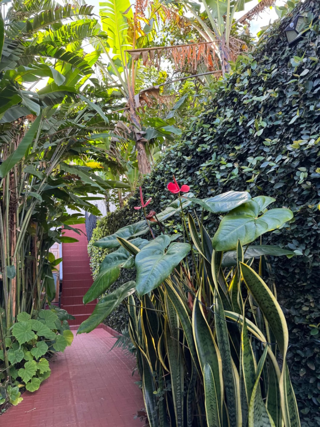  El secreto para viajar a Cuba sin estrés: Cero preocupaciones junto a nosotros